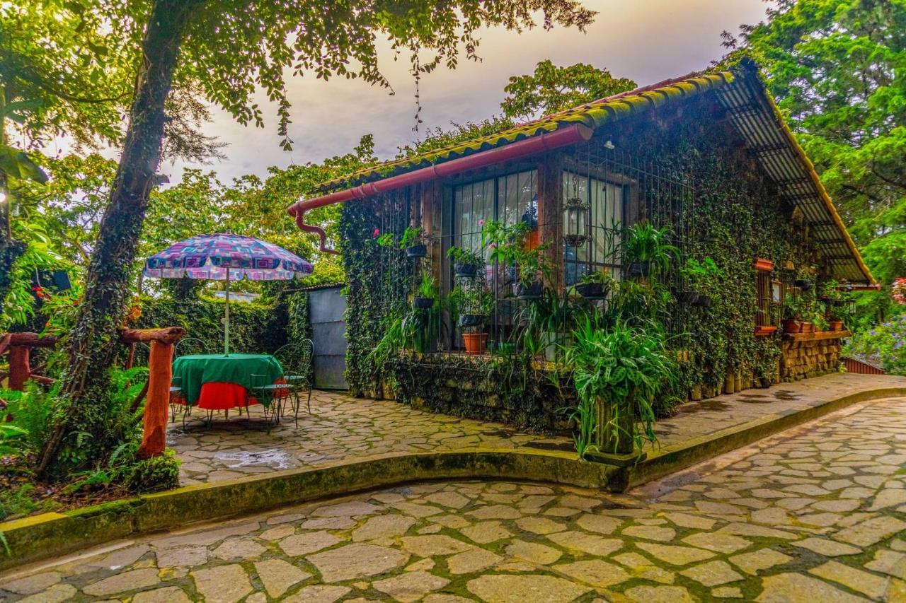 Los Naranjos Town Houses מראה חיצוני תמונה